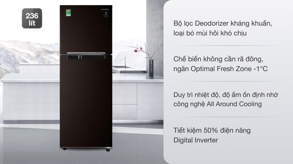 Tủ lạnh Samsung RT22M4032BY/SV