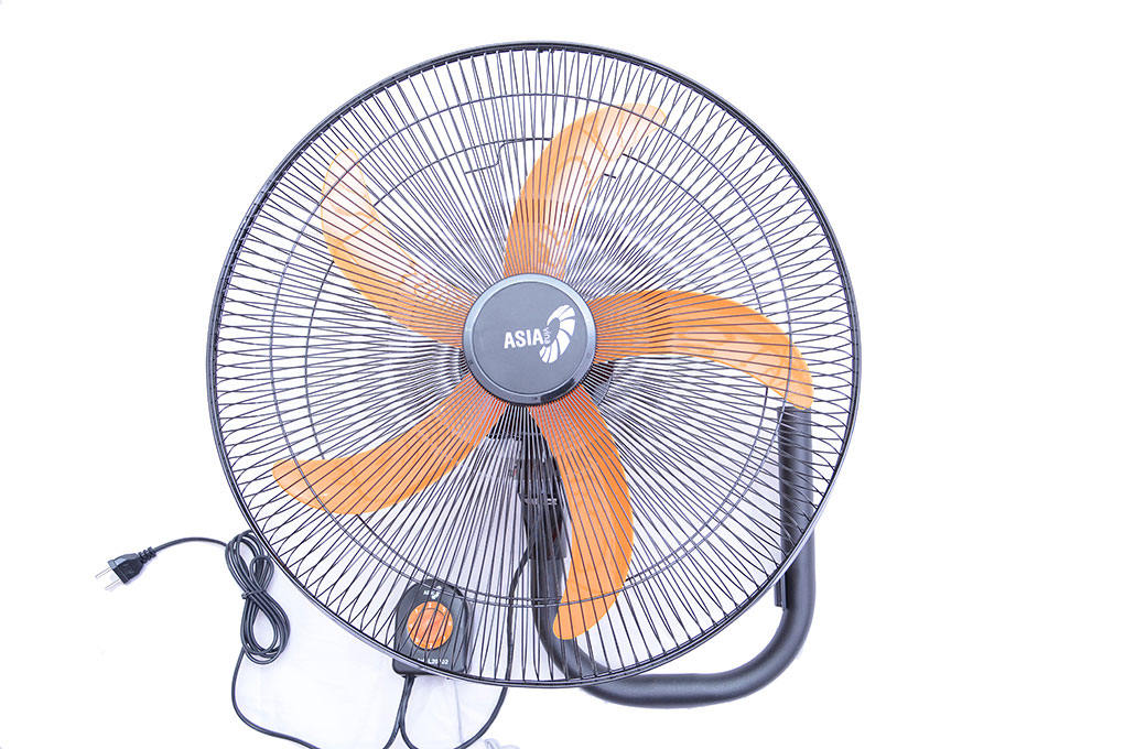 Quạt treo Asia L20002-DV0