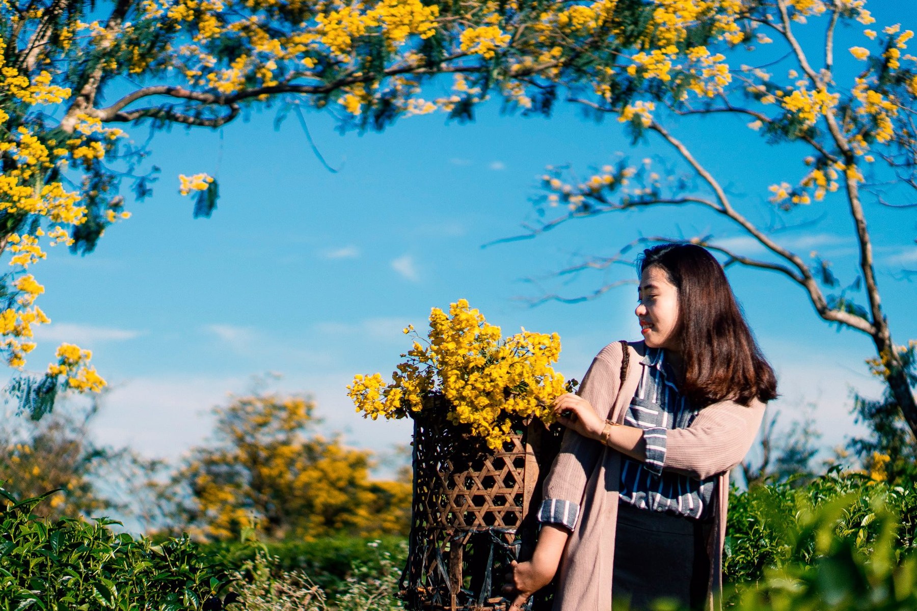 Núi Hàm Rồng Pleiku: điểm nhìn cao cho người thích gió và khoảng rộng